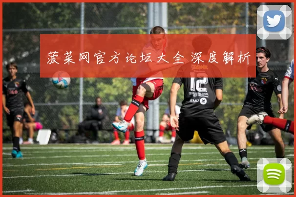 菠菜网官方论坛大全 深度解析