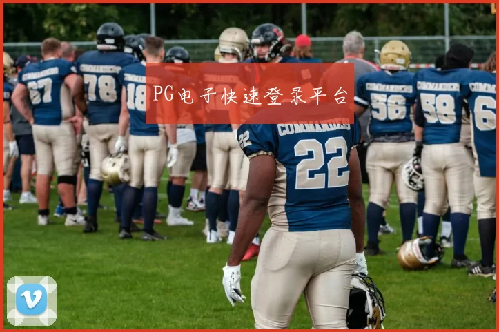 PG电子快速登录平台