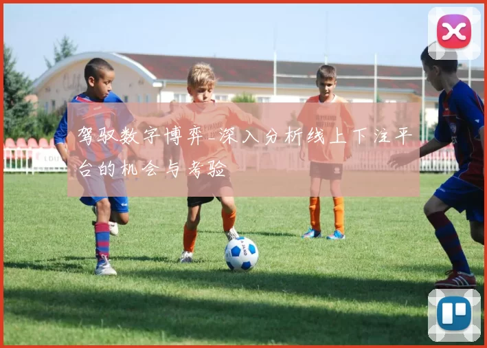 驾驭数字博弈_深入分析线上下注平台的机会与考验