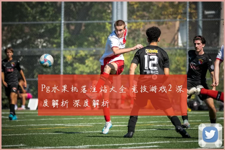 Pg水果机落注站大全 竞技游戏2 深度解析 深度解析