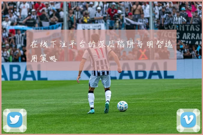 在线下注平台的深层陷阱与明智选用策略