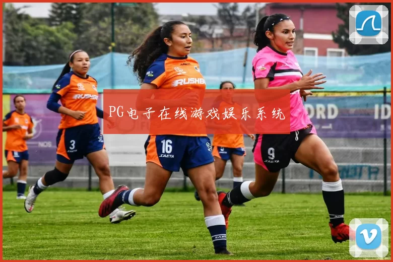 PG电子在线游戏娱乐系统