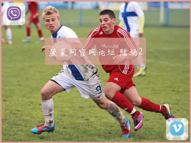 菠菜网官网论坛 赌场2