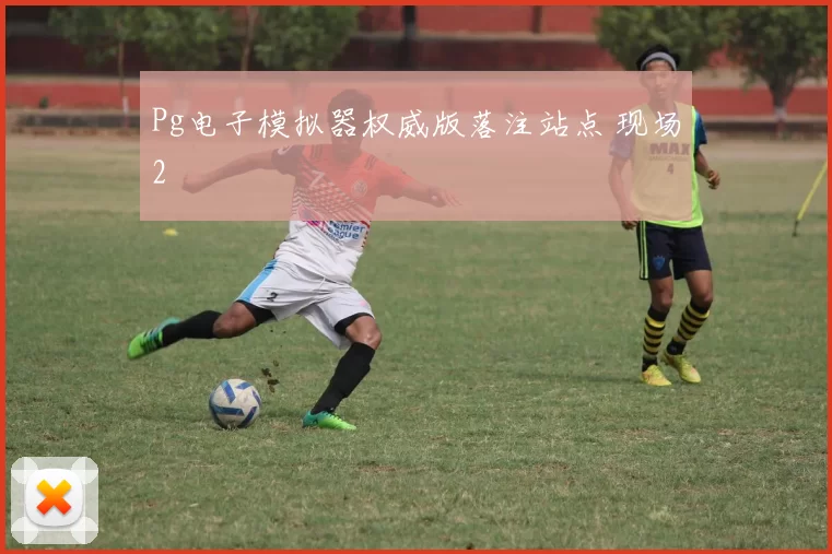 Pg电子模拟器权威版落注站点 现场2