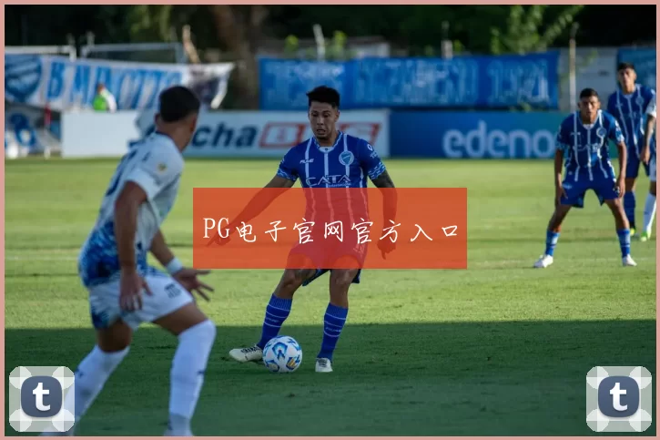 PG电子官网官方入口