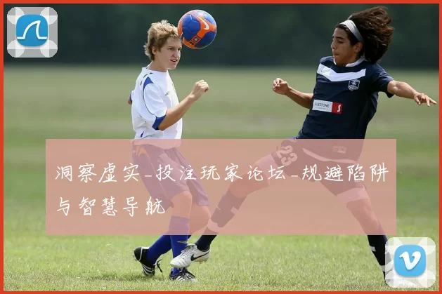 洞察虚实_投注玩家论坛_规避陷阱与智慧导航