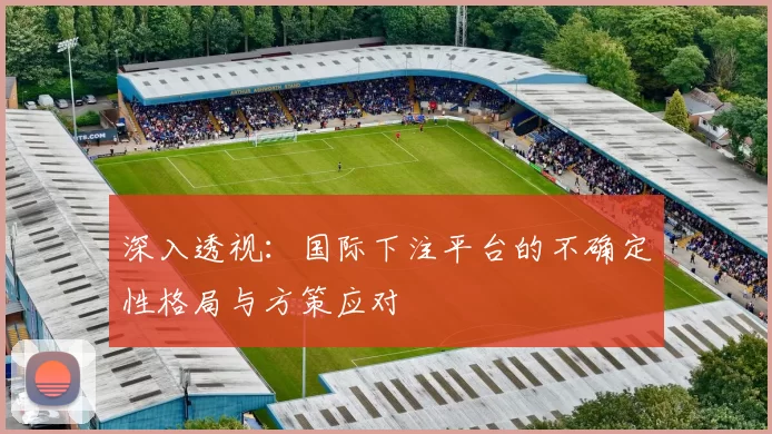 深入透视：国际下注平台的不确定性格局与方策应对