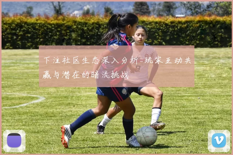 下注社区生态深入分析_玩家互动共赢与潜在的暗流挑战
