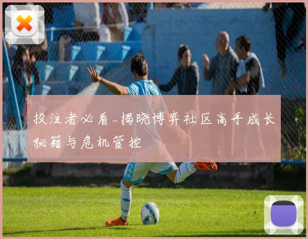 投注者必看_揭晓博弈社区高手成长秘籍与危机管控