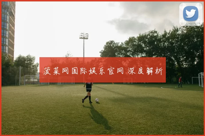 菠菜网国际娱乐官网 深度解析