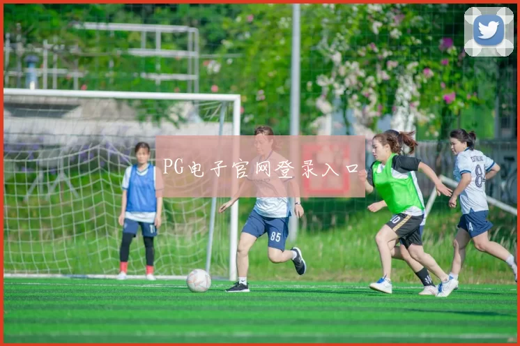 PG电子官网登录入口
