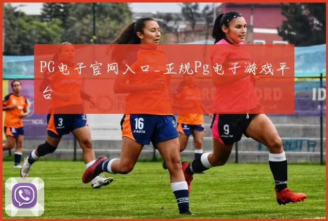 PG电子官网入口_正规Pg电子游戏平台