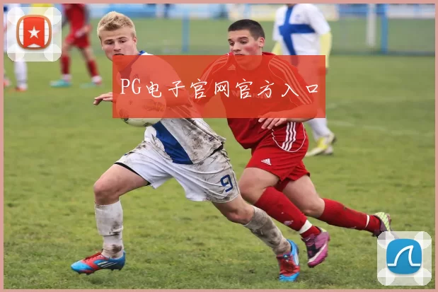 PG电子官网官方入口