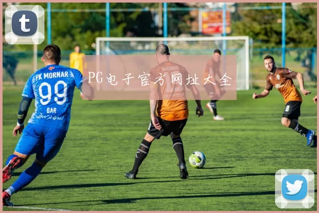 PG电子官方网址大全