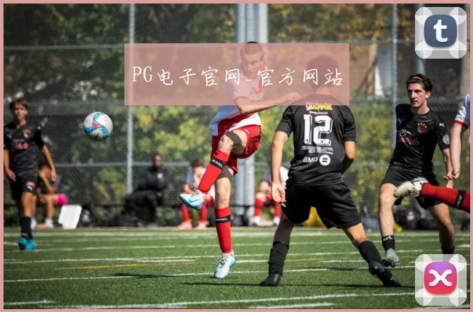 PG电子官网_官方网站